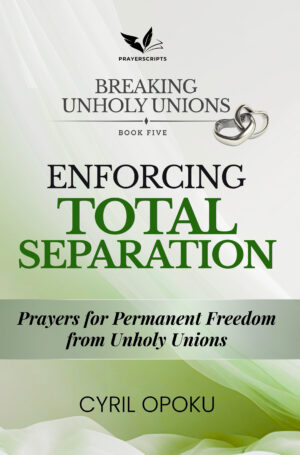 Enforcing Total Separation - Audiobook