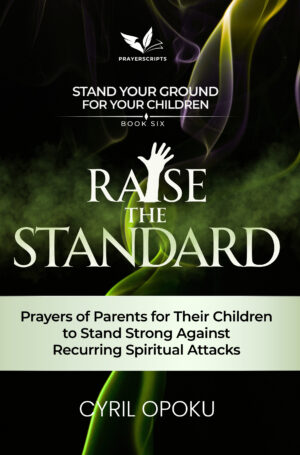 Raise the Standard - Audiobook