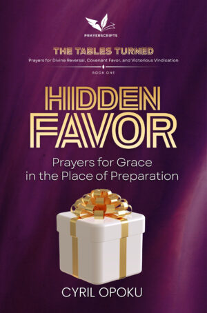 Hidden Favor - Audiobook