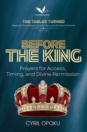 Before the King - Audiobook