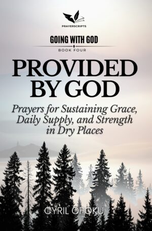 Provided by God - Audiobook