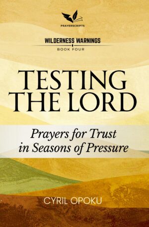Testing the Lord - Audiobook