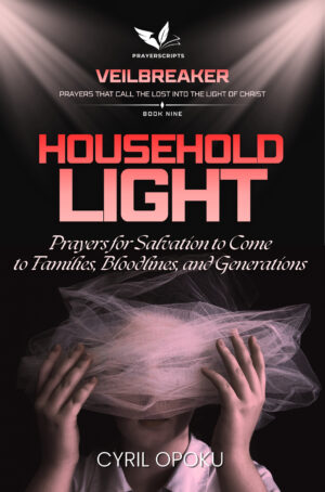 Household Light - Audiobook